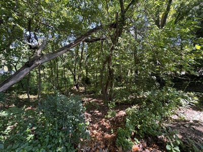 /international/us/ruth-street-michigan-city-in-110108933937/