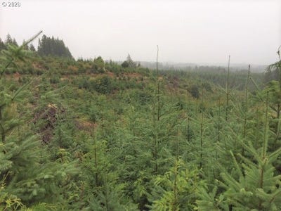 /international/us/nw-ridge-rd-forest-grove-or-110098396746/