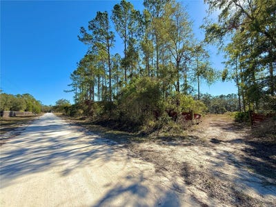 /international/us/484-ne-412th-avenue-old-town-fl-110095879732/
