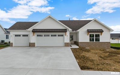 /international/us/720-wellington-drive-washington-il-110109036479/