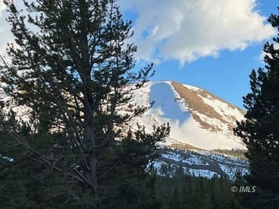 /international/us/tamarack-ln-virginia-lakes-ca-110099456190/