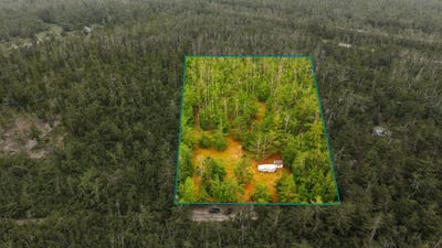 /international/us/6644-lynx-trail-gaylord-mi-110108440058/