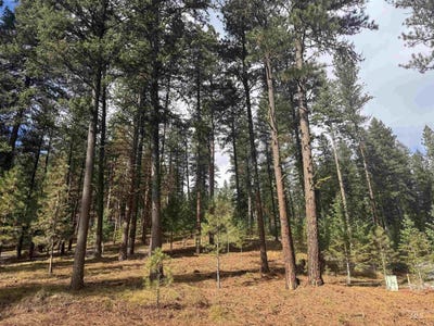 /international/us/sorrel-dr-new-meadows-id-110108655204/