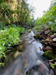 /international/us/soap-gulch-road-melrose-mt-110100307476/