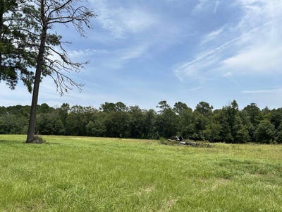 /international/us/lot-378-east-madison-lake-rd-woodville-tx-110101236681/