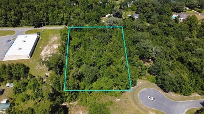 /international/us/land-dr-lot-1-wewahitchka-fl-110110259842/