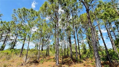 /international/us/18121-nw-304-th-st-okeechobee-fl-110101112787/