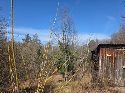/international/us/807-a-old-forest-road-lynchburg-va-110105886362/