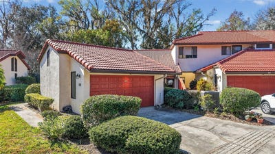 /international/us/301-clusterwood-drive-yalaha-fl-110105256544/