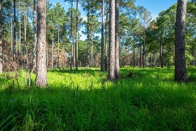 /international/us/221-ac-crestview-road-arlington-ga-110100727682/?lang=es