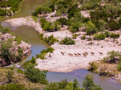/international/us/4200-county-rd-411-ozona-tx-110103114718/