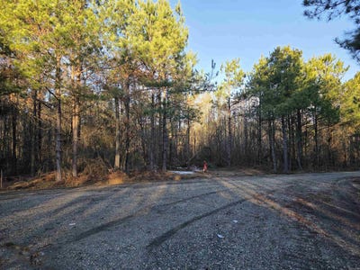 /international/us/800-southwood-lane-rison-ar-110105733681/