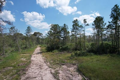 /international/us/37357-highway-69-s-zavalla-tx-110106241137/