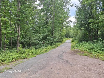 /international/us/steiss-road-lot-3-milan-nh-110109611811/
