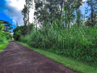 /international/us/cook-st-pahoa-mo-110120563570/