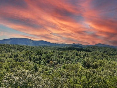 /international/us/245-ac-gates-chapel-road-ellijay-ga-110101407418/