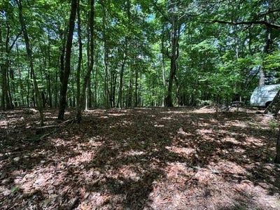 /international/us/154-chill-lane-blairsville-ga-110108472687/