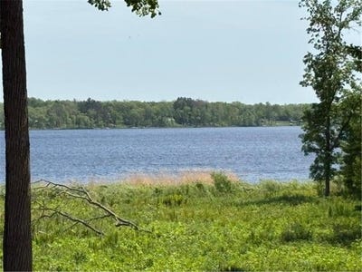 /international/us/tbd-226th-workman-twp-mn-110108440261/