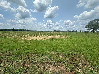 /international/us/12-acres-lot-1-j-saunders-dothan-al-110099901462/?lang=zh-cn
