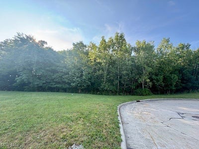 /international/us/green-ridge-drive-wickliffe-oh-110101264359/?lang=zh-tw