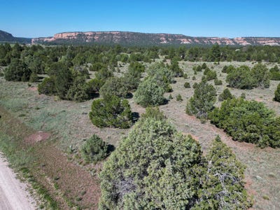 /international/us/buttonwood-drive-lot-15-ramah-nm-110101000893/