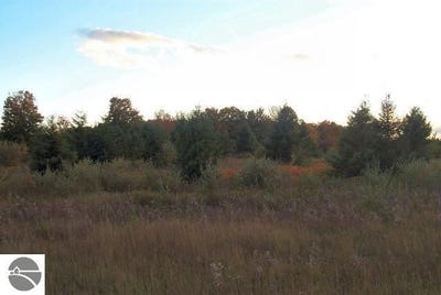 /international/us/m-72-williamsburg-mi-110104090255/