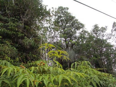/international/us/road-1-uhini-ana-mountain-view-hi-110102707484/