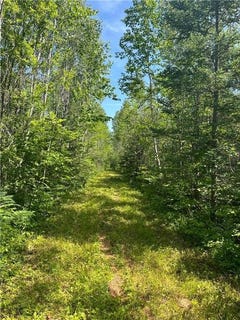 /international/us/1961-town-road-118-birchdale-mn-110096573704/?lang=zh-tw