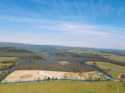 /international/us/golden-pond-lane-witt-springs-ar-110106669032/