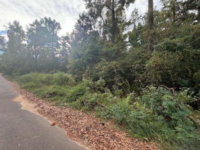 /international/us/webb-street-ellisville-ms-110120058117/
