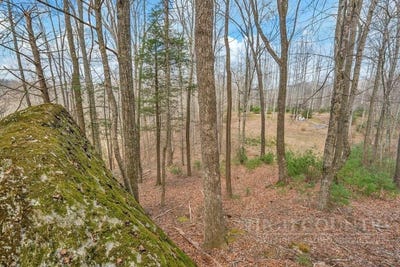 /international/us/denney-wood-road-sugar-grove-nc-110107712739/
