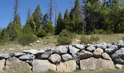 /international/us/42387-opal-lane-shaver-lake-ca-110089217504/