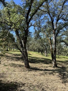 /international/us/1100-firth-way-el-dorado-hills-ca-110109065610/