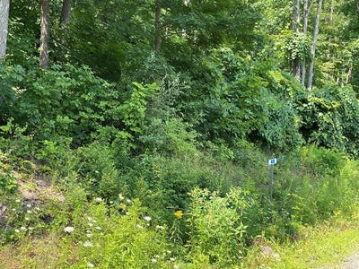 /international/us/lot-48-hemlock-hills-rd-towanda-pa-110090761076/?lang=zh-tw