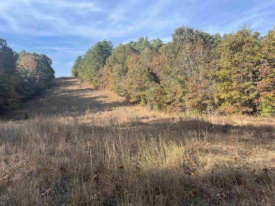 /international/us/tbd-hwy-270-malvern-ar-110100591562/
