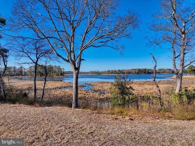 /international/us/lot-10-possum-point-road-millsboro-de-110098334764/?lang=en