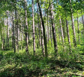 /international/us/xxx-brown-lane-pepin-wi-110100871116/?lang=en