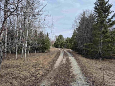 /international/us/3754-w-quarry-road-gulliver-mi-110108176886/