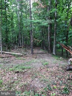 /international/us/timber-ridge-berkeley-springs-wv-110080789636/?lang=es