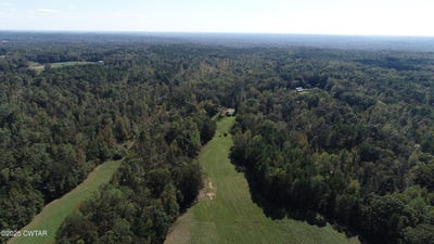 /international/us/430-cora-lane-bolivar-tn-110102924084/