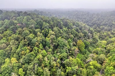 /international/us/1310-hunting-creek-road-whitleyville-tn-110110337630/
