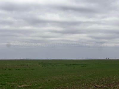 /international/us/farm-to-market-2568-quanah-tx-110106276434/