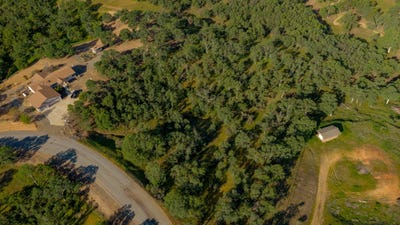 /international/us/18623-saddleback-ridge-loop-cottonwood-ca-110096653478/
