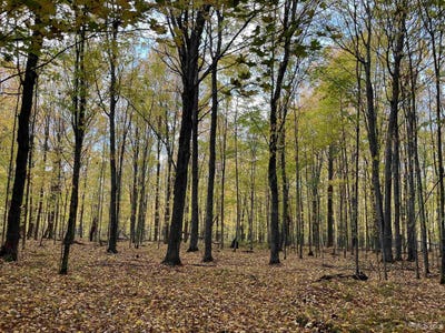/international/us/porcupine-lake-road-lot-3-long-lake-wi-110119961289/