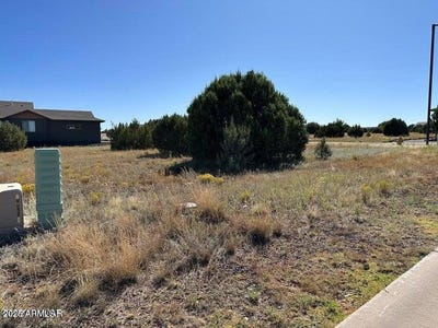 /international/us/1001-s-ridgeway-place-show-low-az-110101345837/?lang=en
