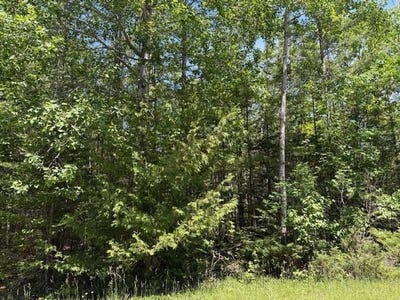 /international/us/e-renwick-circle-lot-86-presque-isle-mi-110100499630/