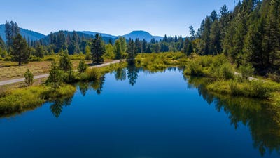 /international/us/1000-golden-feather-ranch-road-graeagle-ca-110105939220/