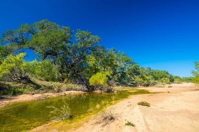 /international/us/000-county-rd-102-llano-tx-110099989286/
