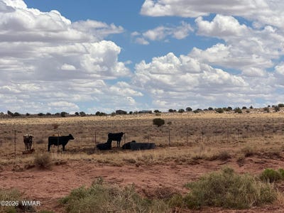 /international/us/8358-8400-terry-trail-snowflake-az-110120509463/