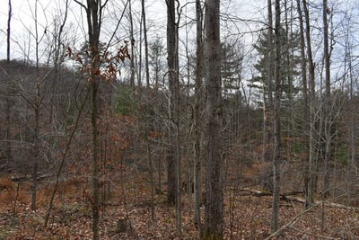 /international/us/morgan-hollow-road-olean-ny-110096219772/?lang=zh-tw